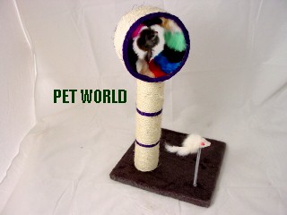 .039-XS PET TUNNEL w. PLATFORM + SWAT TOYS - COLORFUL