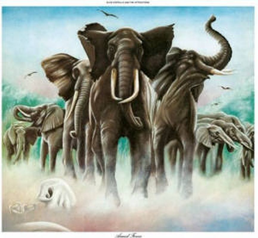 Elvis Costello & The Attractions - Armed Forces - Cd
