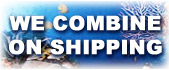 We Combine Shipping!