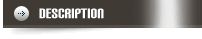 Description of the item