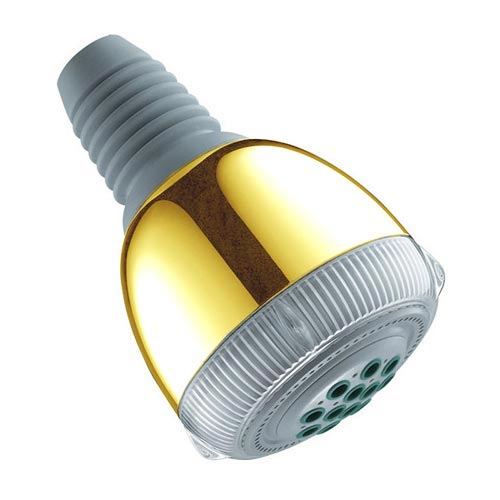 Hansgrohe 28447-PB Polished Brass Showerhead