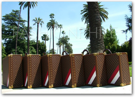 Louis Vuitton Damier Cases