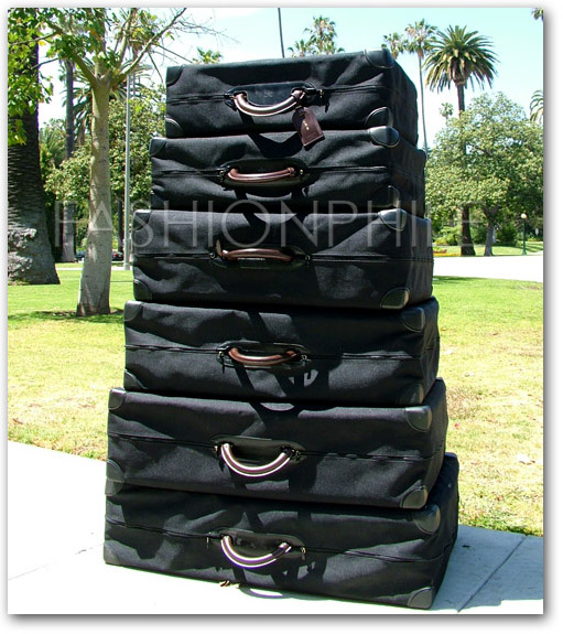 Damier Bisten Alzer Hard Case Covers