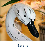 Swans