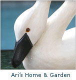 Ari's Home and Garden