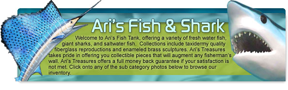 Ari's Fish and Sharks