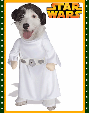 blockbustercostume Main Auction Posting Image