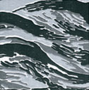 Urban Tiger Stripe