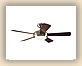 Ceiling Fans