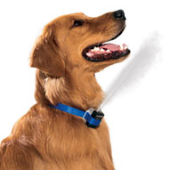 New Premier Citronella Anti Bark Collar Gentle Spray