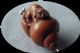 CARVED Mouse in Snail Shell BOXWOOD Bead 4128O
