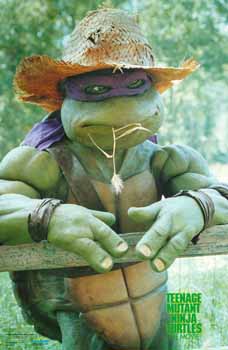 flat0142tmnt.jpg