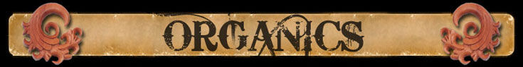 Wholesale piercing, plug bone wood earring, organic plugs, wholesale earrings, gauged organics