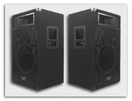 2 New DJ Speakers 800 Watt RMS 10" Acoustic Audio BR10