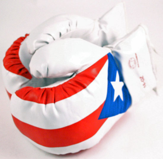 1 Pair of 16oz. Puerto Rico Pride Boxing Gloves: Fight