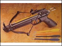 Archery:Hunting: 50 lb crossbow pistol - Sporting Goods