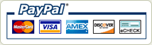 PayPal Logo