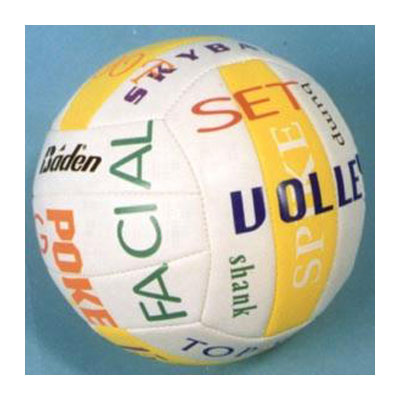 Baden SV5S 43 Sayings Volleyball