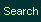 Search