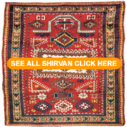 See all our Shirvan rugs click here