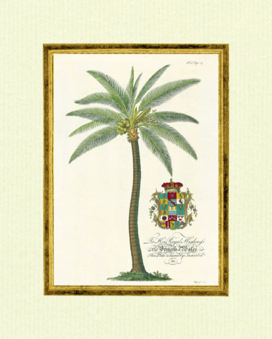 ^ 3 Palm Trees Art Prints Tropical Home Decor Pictures