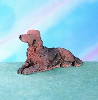 Irish Setter - Dog