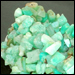 Chrysoprase Bracelets