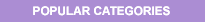 Browse Popular Categories