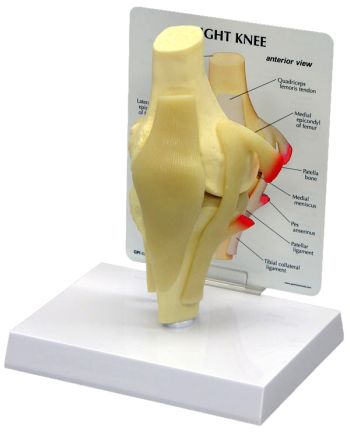 Backgrounds maker, youth youtube backgrounds maker. Backgrounds maker, youth