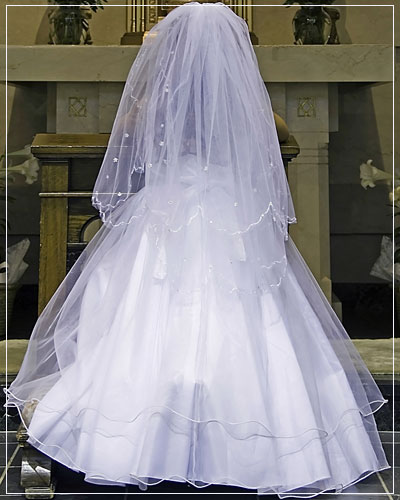 Formal Wedding Gowns on Formal Wedding Gowns Bridesmaids Dress Mississauga Toronto Canada