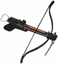 L@@K~~NEW 50lb CRoSSBOW PISTOL + Arrows + MORE***