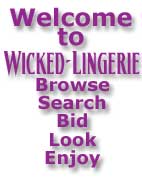 Welcome to Wicked-Lingerie