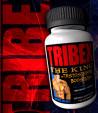 Biotest Tribex-500 (New 140 Caps)
