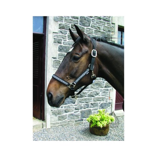 Horseware Head Collar (Clearance)