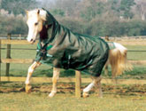 Horseware Rambo Flybuster Plus Fly Sheet