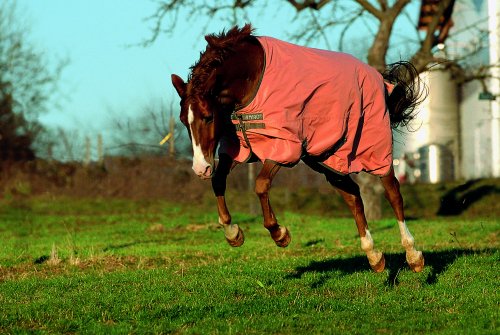 Horseware Amigo Summer Turnout (Clearance)