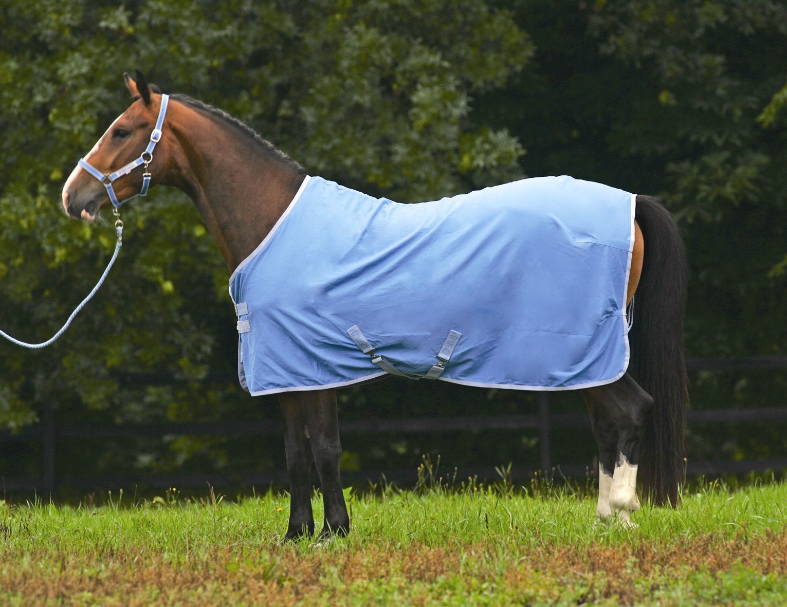 Horseware Amigo Summer Sheet/Travel Rug