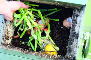 Adding scraps to composter