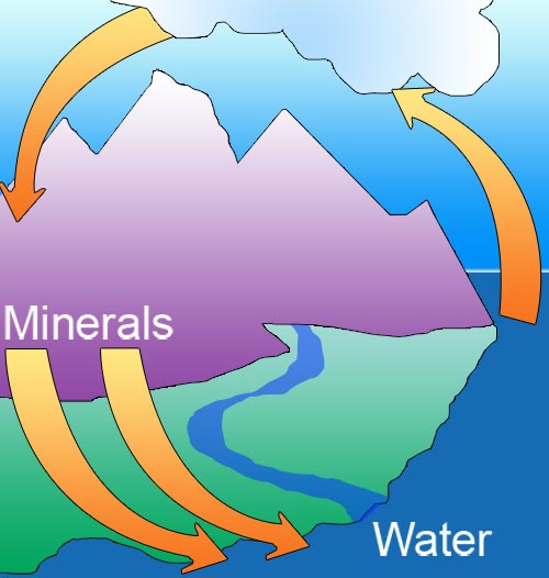 The trace minerals cycle