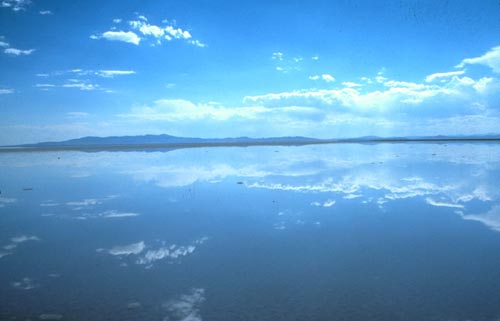 Trace Minerals from Great Salt Lake in Utah