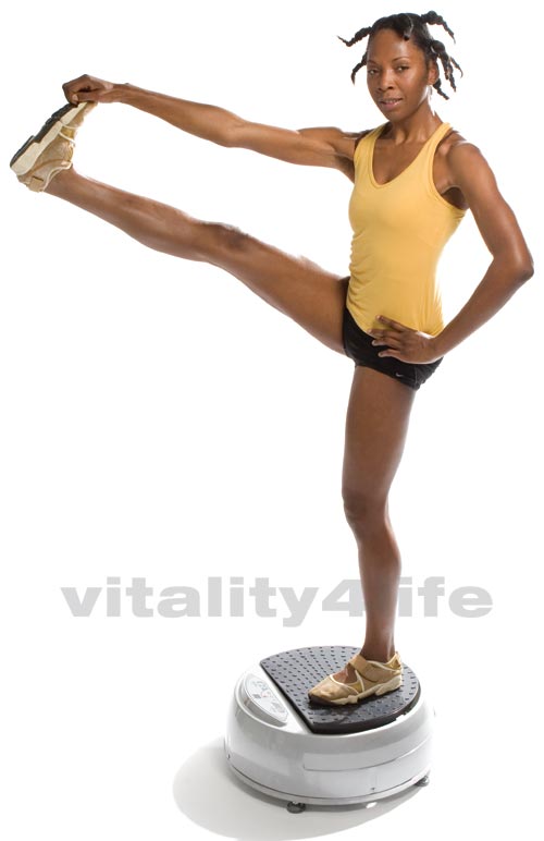 Vibrodisc Vibration Exercise Platform Silver eBay