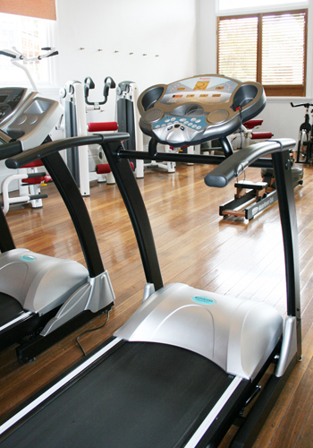 Vitality 4 Life Treadmill