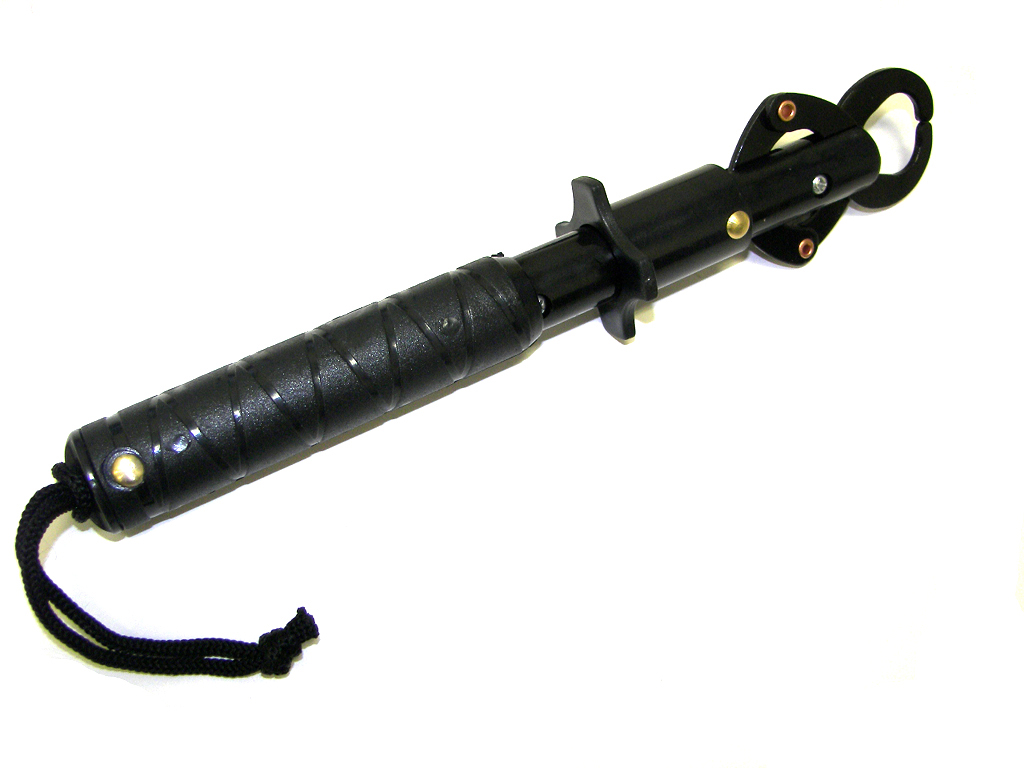 Click to enlarge