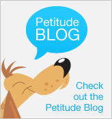 Petitude Blog