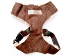 Collars & Harnesses