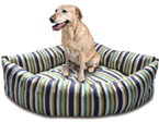 Beds & Furniture