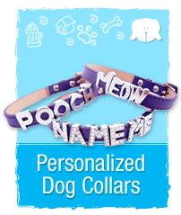 Personalized Dog Collars