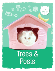 Trees and Posts