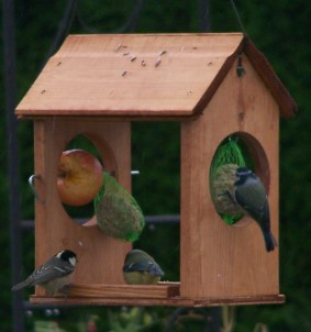birds Feeding At Table