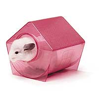 CHINCHILLA DUST BATH